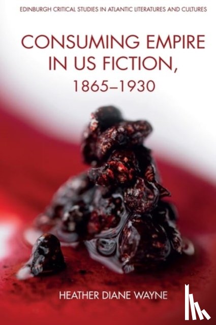 Wayne, Heather D - Consuming Empire in U. S. Fiction, 1865-1930