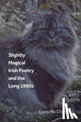 McDiarmid, Lucy (Marie Frazee Baldassarre Professor of English - Slightly Magical Irish Poetry and the Long 1990s