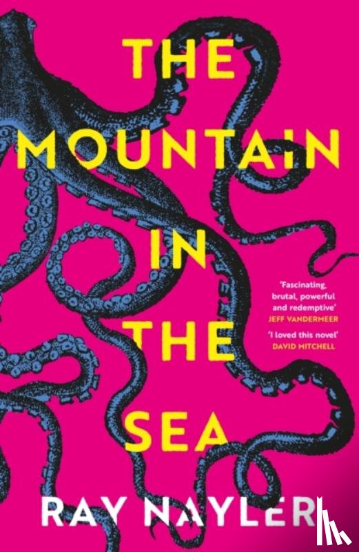 Nayler, Ray - The Mountain in the Sea
