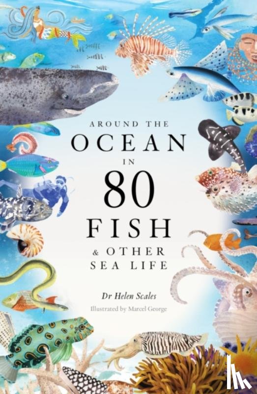 Scales, Helen - Around the Ocean in 80 Fish and other Sea Life