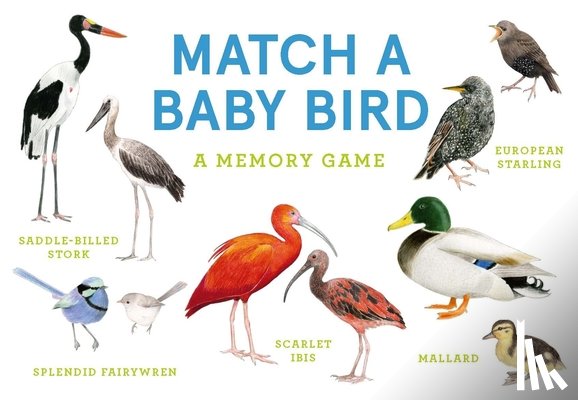 Unwin, Mike - Match a Baby Bird: An Avian Memory Game