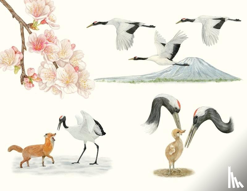 Unwin, Mike, Miyake, Ryuto - Around the World in 80 Birds
