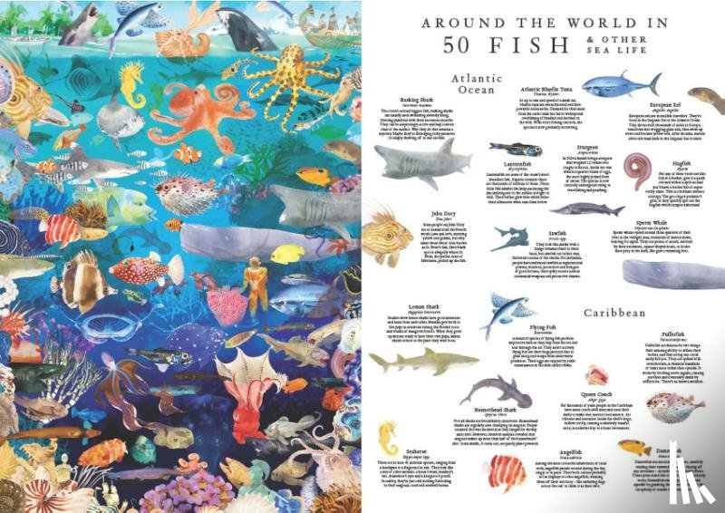 Scales, Helen, George, Marcel - Around the World in 50 Fish & Other Sea Life