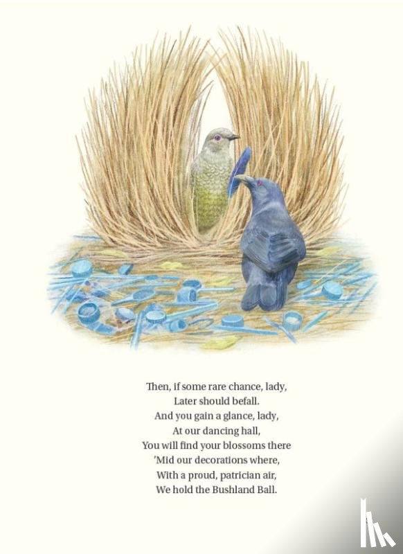 Sampson, Ana - The Book of Bird Poems