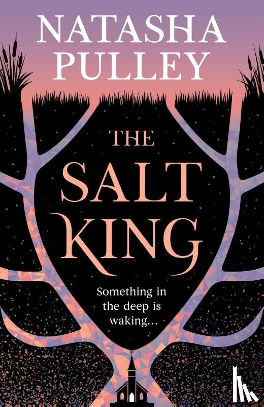 Pulley, Natasha - The Salt King