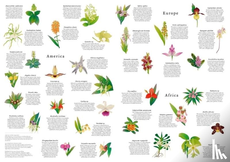 Chen, Whooli - Around the World in 50 Orchids