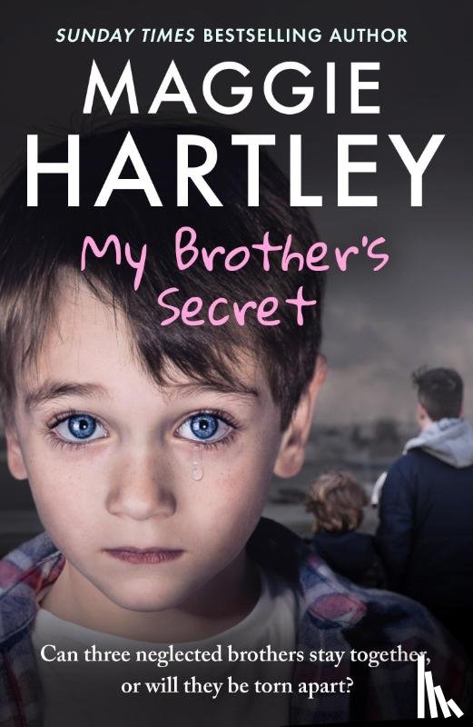 Hartley, Maggie - My Brother's Secret