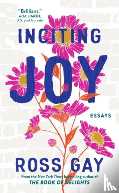 Gay, Ross - Inciting Joy