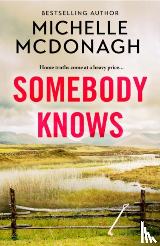 McDonagh, Michelle - Somebody Knows
