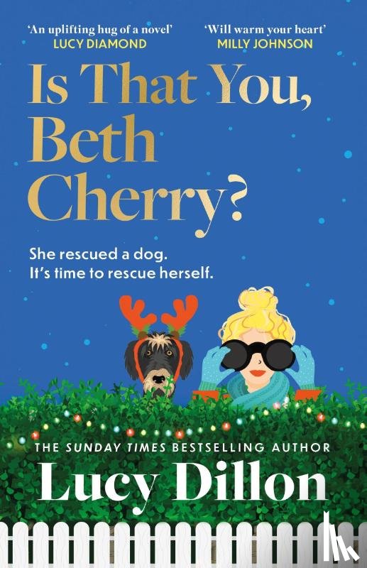 Dillon, Lucy - Is That You, Beth Cherry?