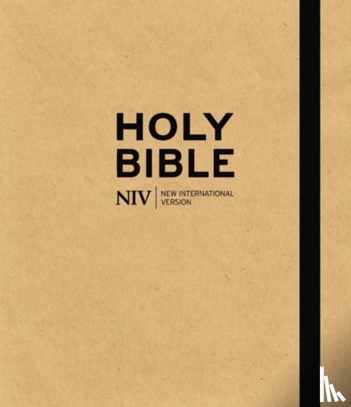 Version, New International - NIV Art Bible