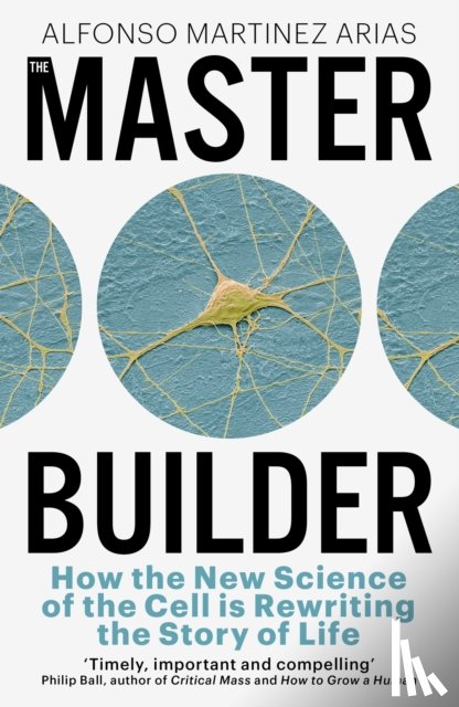 Arias, Alfonso Martinez - The Master Builder