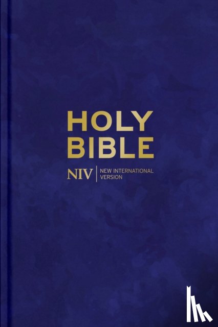 Version, New International - NIV Larger Print Personal Velvet Bible
