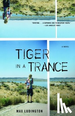 Ludington, Max - Tiger in a Trance