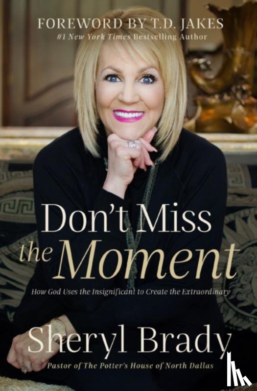 Brady, Sheryl - Don't Miss the Moment