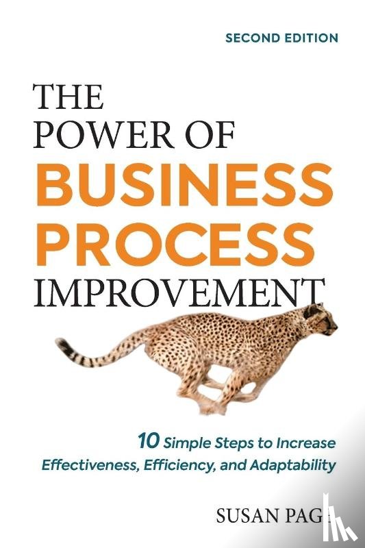 Page, Susan - The Power of Business Process Improvement