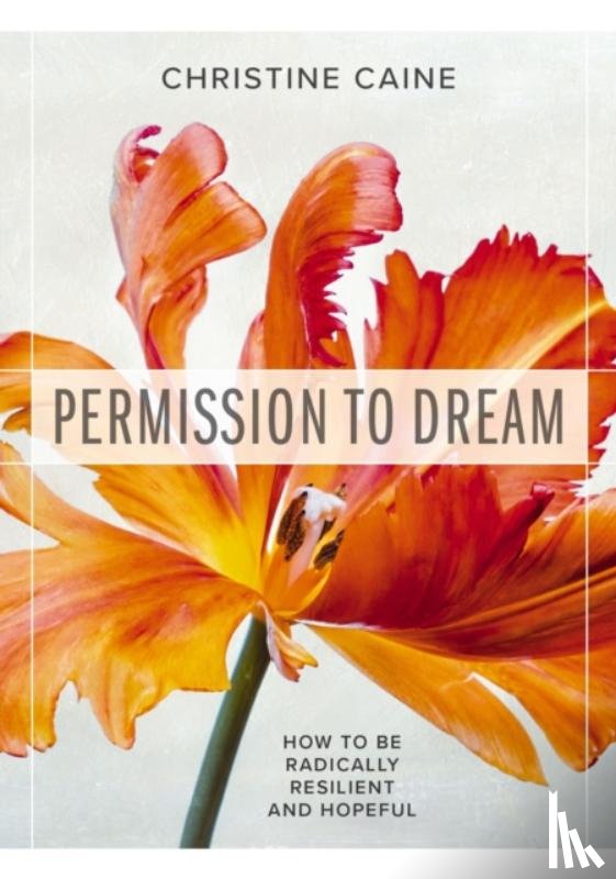 Caine, Christine - Permission to Dream