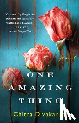 Chitra Banerjee Divakaruni - One Amazing Thing