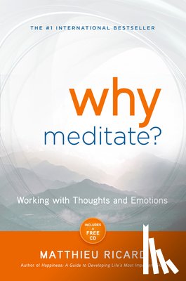 Ricard, Matthieu - WHY MEDITATE