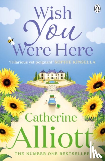 Alliott, Catherine - Wish You Were Here