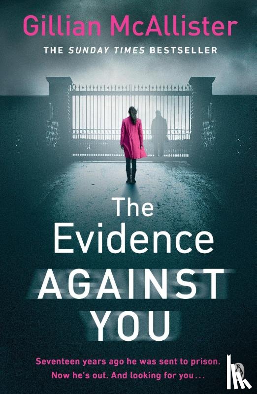 McAllister, Gillian - The Evidence Against You