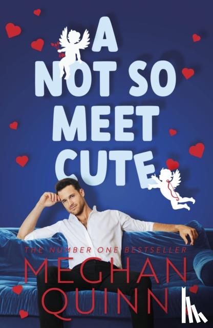 Quinn, Meghan - A Not So Meet Cute