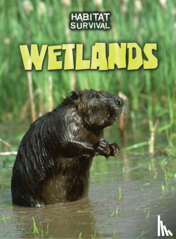 Silverman, Buffy - Wetlands
