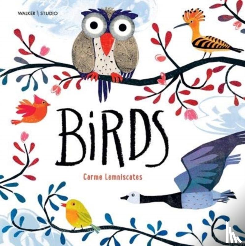 Lemniscates, Carme - Birds