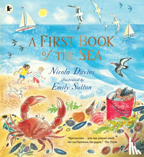 Nicola Davies, Emily Sutton - A First Book of the Sea
