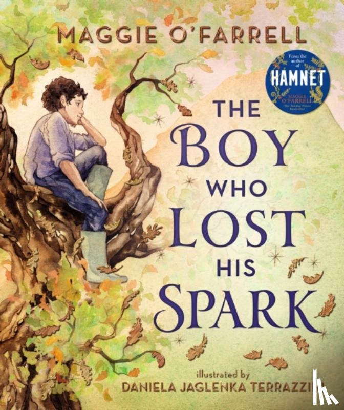 O'Farrell, Maggie - The Boy Who Lost His Spark