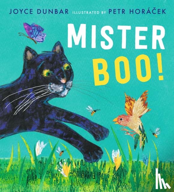 Dunbar, Joyce - Mister Boo!