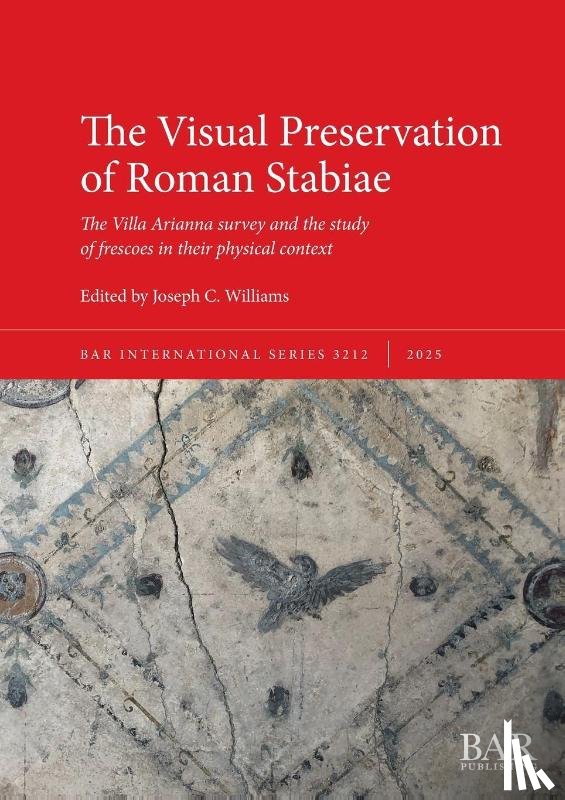  - The Visual Preservation of Roman Stabiae