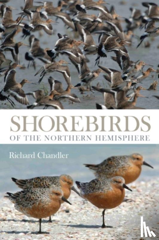 Chandler, Richard - Shorebirds of the Northern Hemisphere
