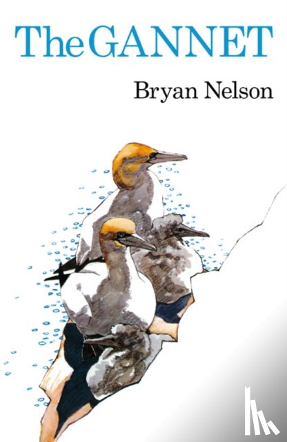 Nelson, Bryan - The Gannet