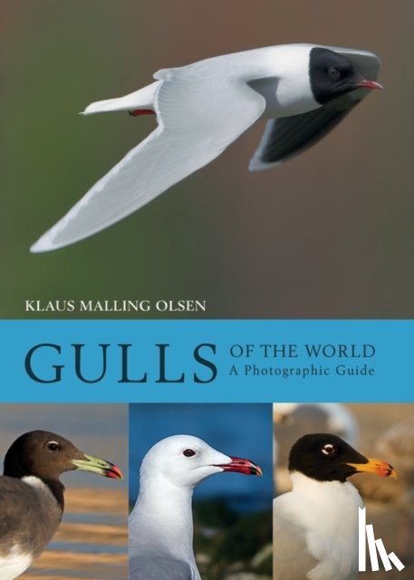 Malling Olsen, Klaus - Gulls of the World