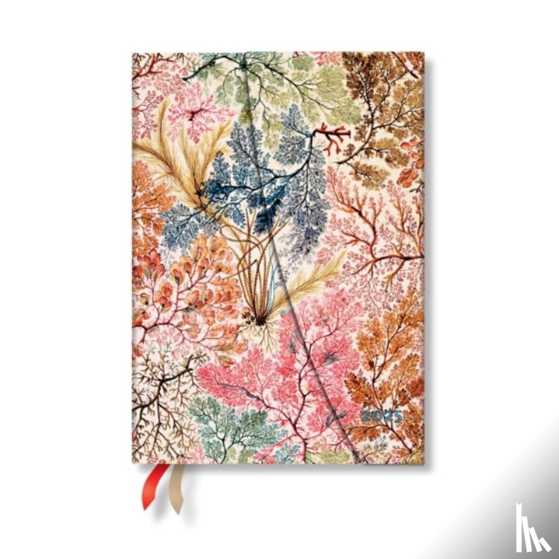 Paperblanks - Anemone (William Kilburn) Midi 12-month Horizontal Hardback Dayplanner 2025 (Wrap Closure)