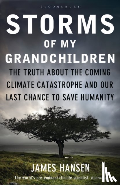 Hansen, James - Storms of My Grandchildren