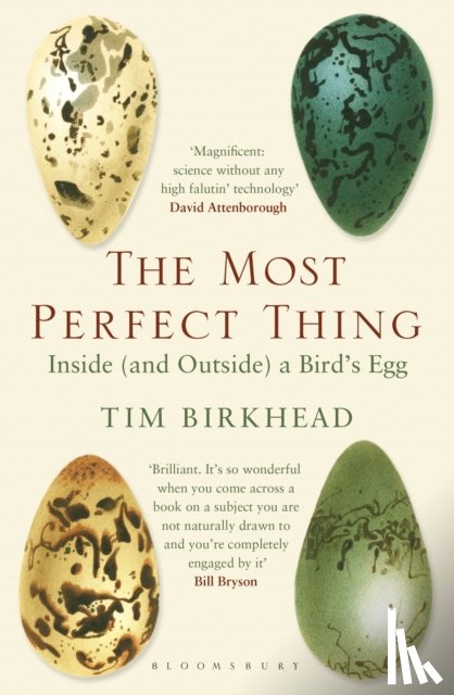 Birkhead, Tim - The Most Perfect Thing