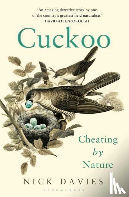 Davies, Nick - Cuckoo