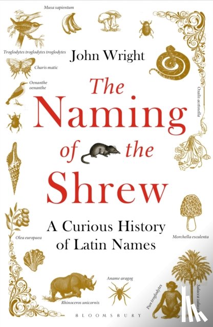 Wright, John - The Naming of the Shrew