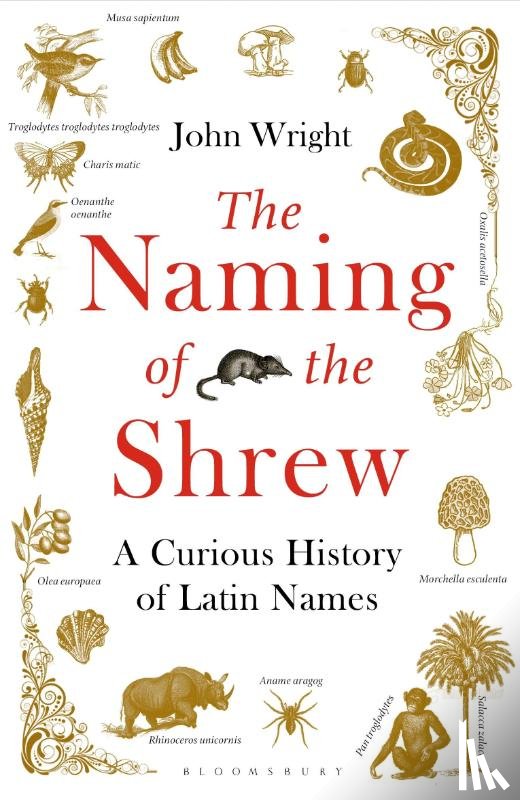 Wright, John - The Naming of the Shrew