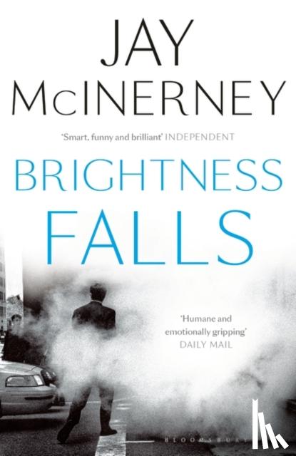 McInerney, Jay - Brightness Falls