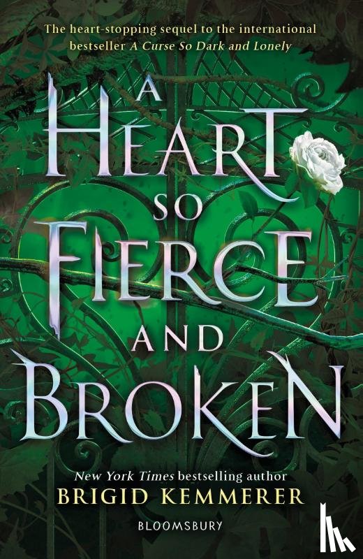 Kemmerer, Brigid - A Heart So Fierce and Broken