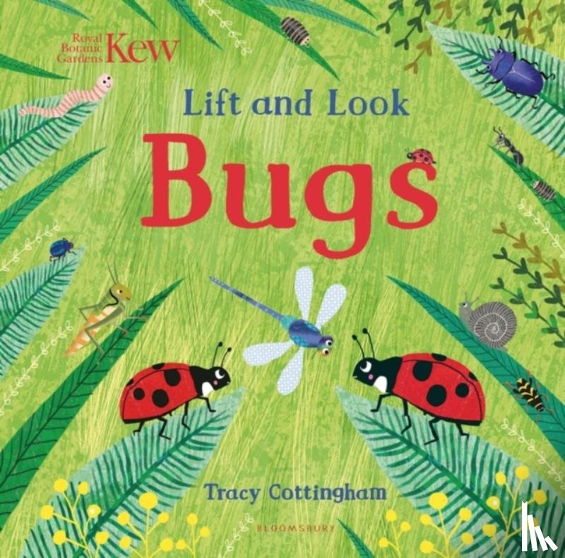  - Kew: Lift and Look Bugs
