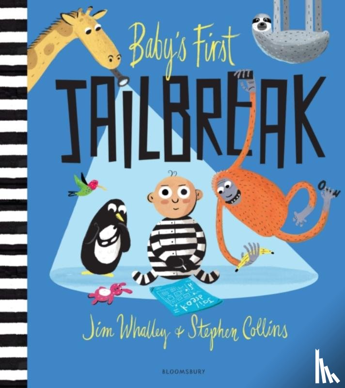 Whalley, Jim (De Montfort University, UK) - Baby's First Jailbreak