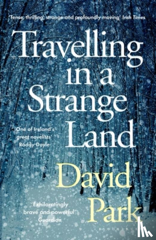 Park, David - Travelling in a Strange Land