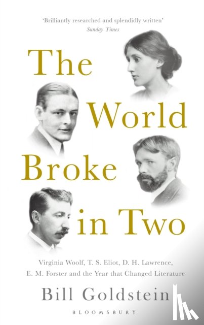 Goldstein, Bill - The World Broke in Two