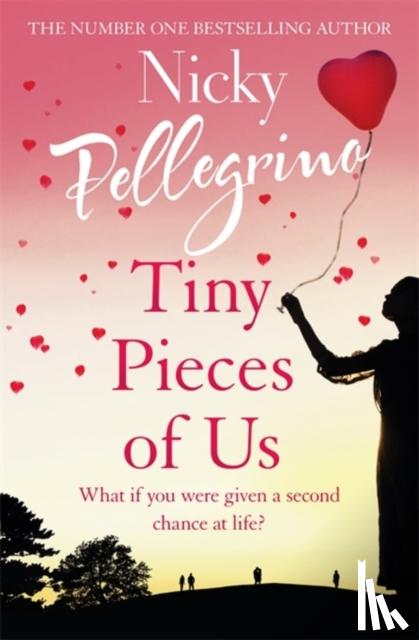 Pellegrino, Nicky - Tiny Pieces of Us