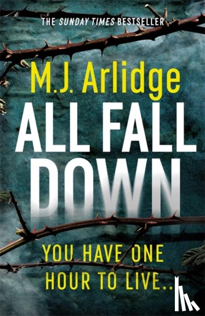 M. J. Arlidge - All Fall Down