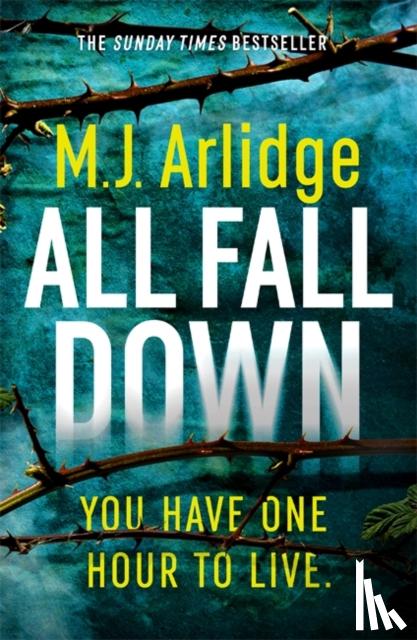 Arlidge, M. J. - All Fall Down